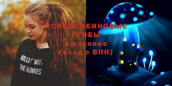 молекула духа Карталы