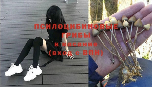 экстази Карпинск