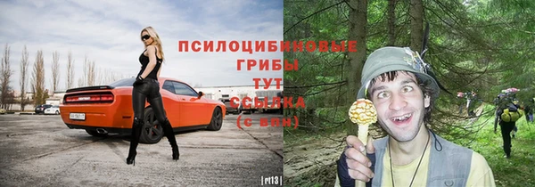 ALPHA-PVP Каменногорск