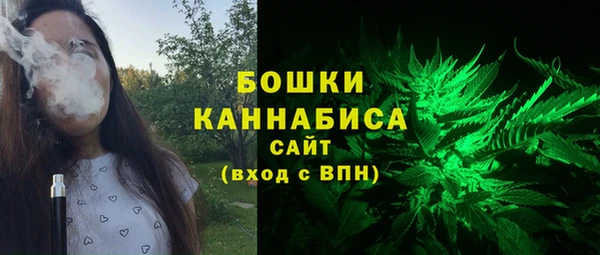 ALPHA PVP Каменка