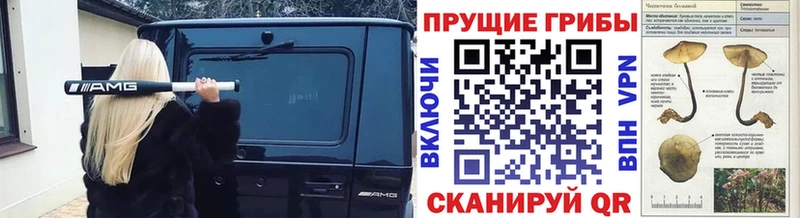 Галлюциногенные грибы ЛСД  Называевск 